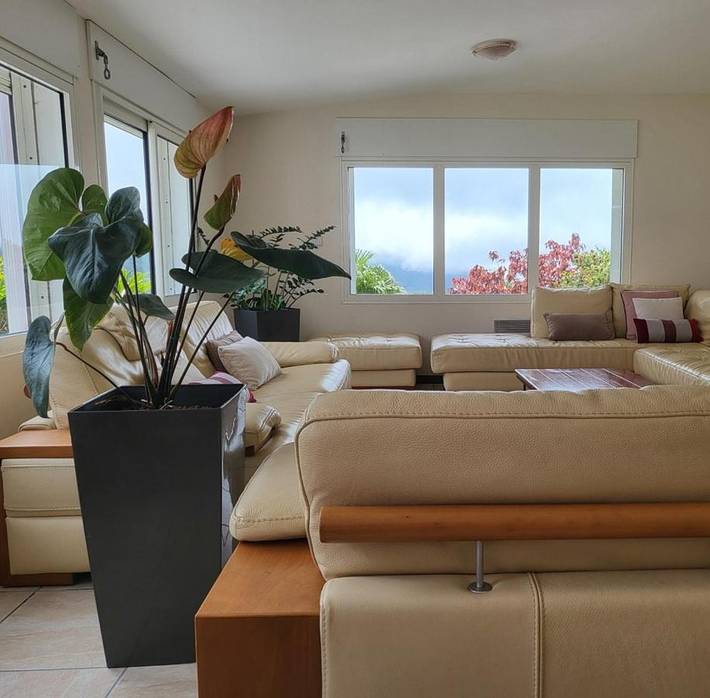 Gîte pour 2 personnes, avec vue ainsi que jardin et terrasse à La Plaine-des-Palmistes - 2