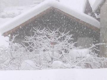 Baita per 4 Persone in Bregaglia, Alpi del Bernina, Foto 2