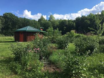 Glamping for 2 Guests in New York State, USA, Picture 1