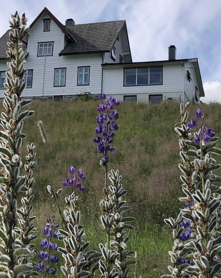Ferienwohnung für 3 Personen, mit Garten und Ausblick sowie Seeblick, mit Haustier - 1