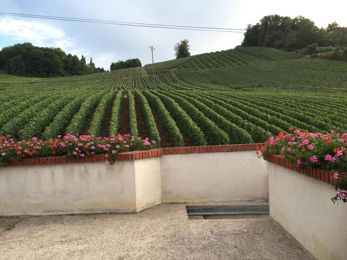 Gîte pour 7 personnes, avec vue et jardin à Vauciennes