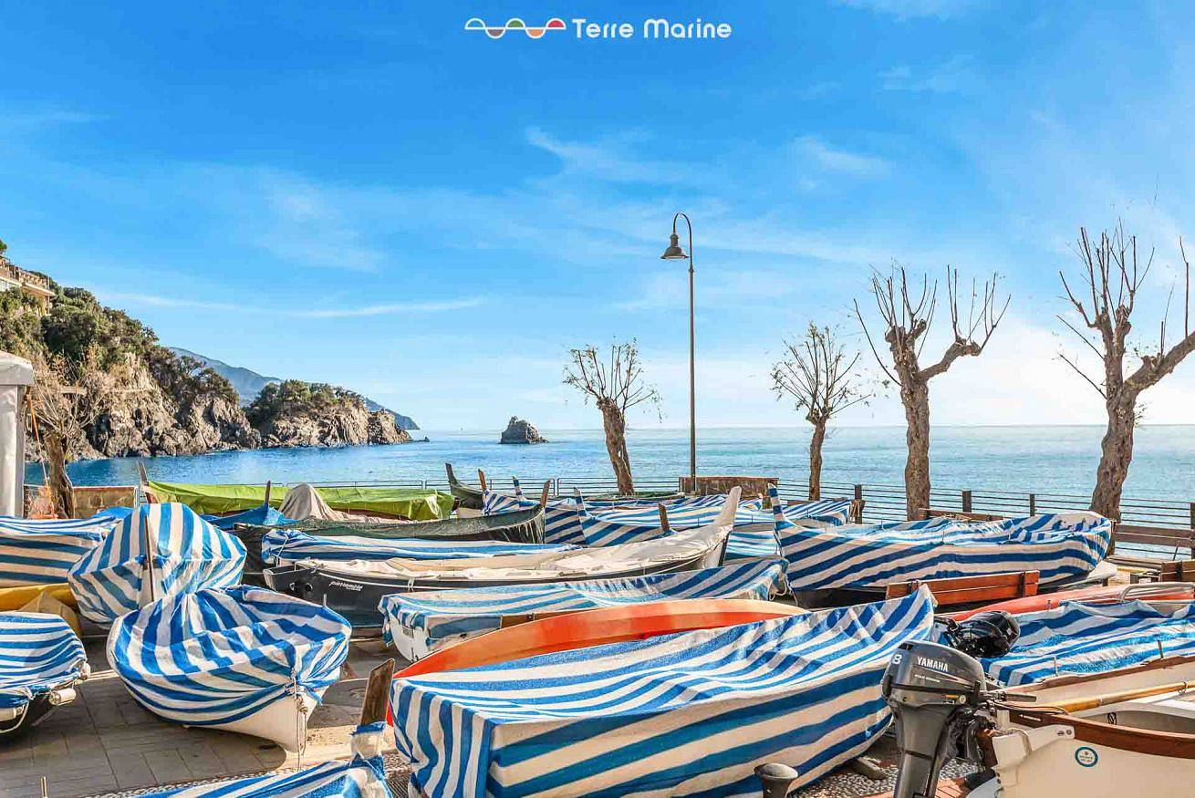 Appartamento intero, Basilico e Papaja in Monterosso al Mare, Comune di Monterosso al Mare