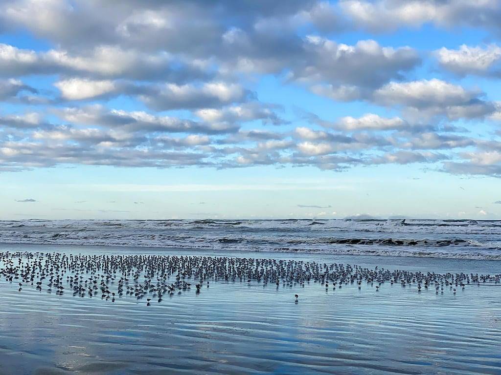 Cozy Chalet in Ocean Shores located within steps from the beach in Ocean Shores Beach, Ocean Shores