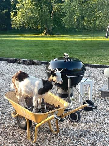 Gîte pour 3 personnes, avec vue et jardin à Saint-Gatien-des-Bois