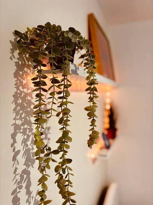 Gîte pour 2 personnes à Brignoles - 3