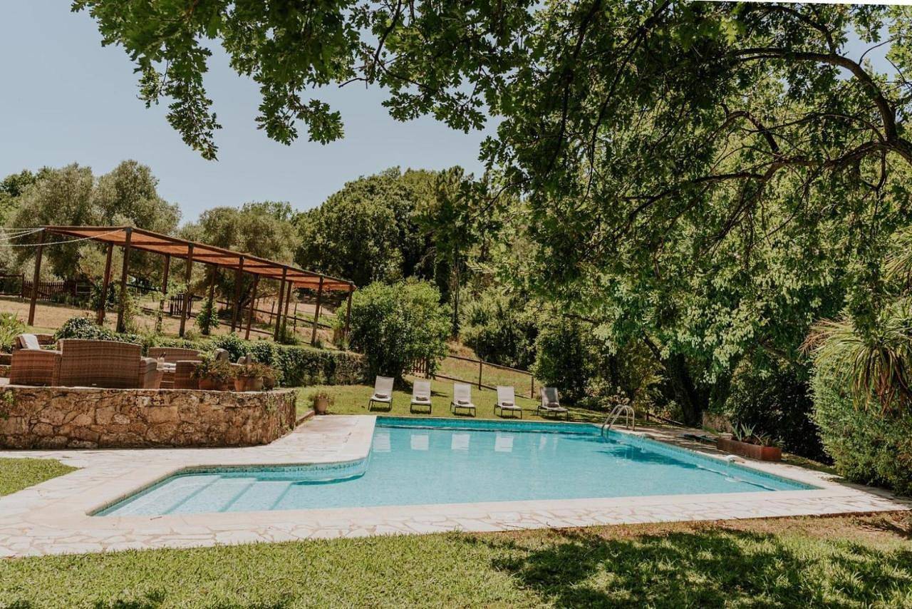 Domaine de Pijaubert in Montauroux, Côte méditerranéenne (France)