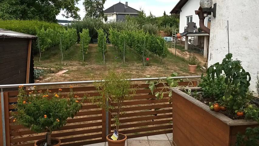 Ferienwohnung für 2 Personen, mit Terrasse in Michelstadt - 3