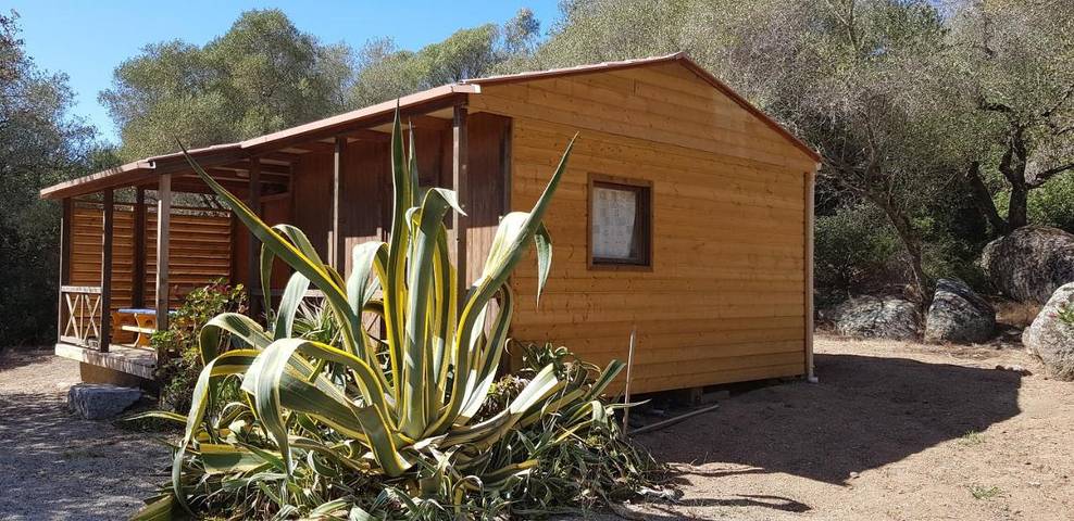 Gîte pour 4 personnes, avec vue et jardin, animaux acceptés dans Plage de Tenutella - 4