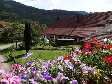 Boerderij voor 4 Personen in Oberwolfach, Central Black Forest, Afbeelding 4