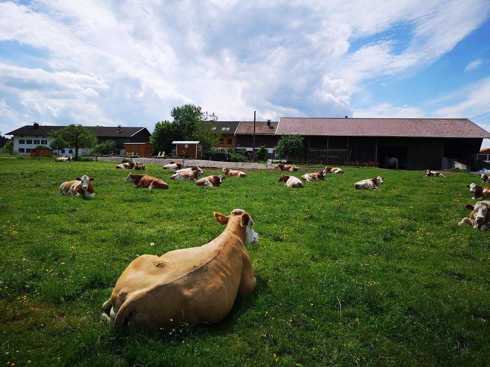 Ferme pour 4 personnes in Riedering, Arrondissement de Rosenheim