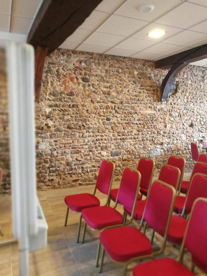 Gîte pour 9 personnes, avec jardin et vue, animaux acceptés à Roanne - 4