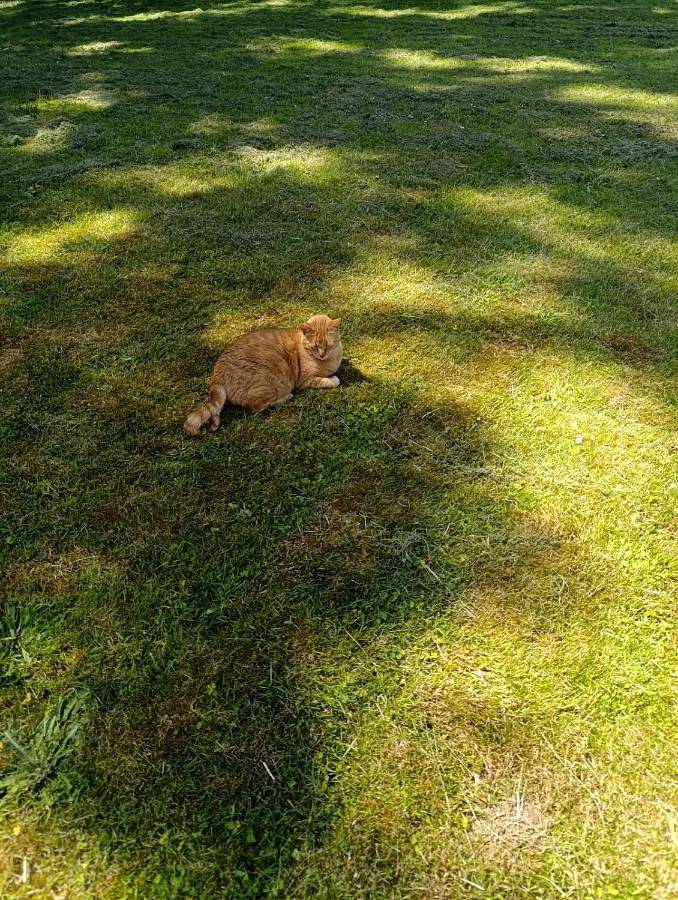 Location de vacances pour 6 personnes, avec terrasse à Gouesnach - 2