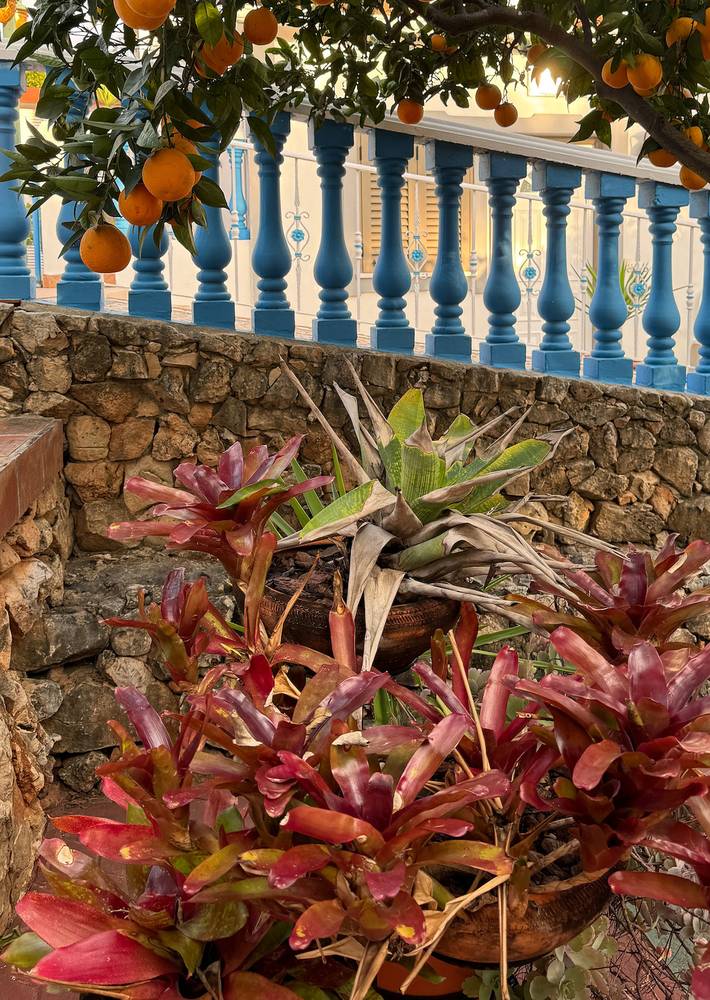 Gîte pour 5 personnes, avec piscine, animaux acceptés dans Alcantarilha - 4