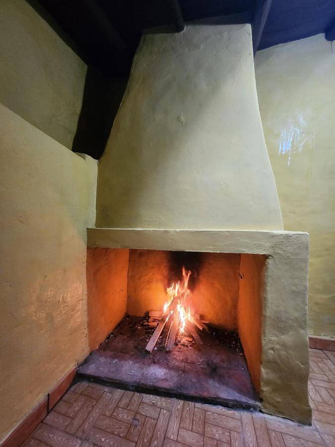 Location de vacances pour 6 personnes, avec jacuzzi ainsi que jardin et terrasse, animaux acceptés à Serpa - 4