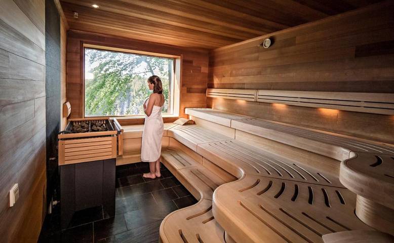 Hotel für 4 Personen, mit Terrasse und Sauna sowie Ausblick in Lohmen (Sachsen) - 4