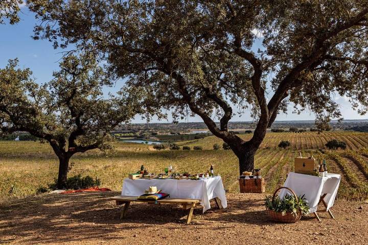Casa de huéspuedes para 4 personas, con piscina para niños y vistas además de piscina y jardín en Alentejo