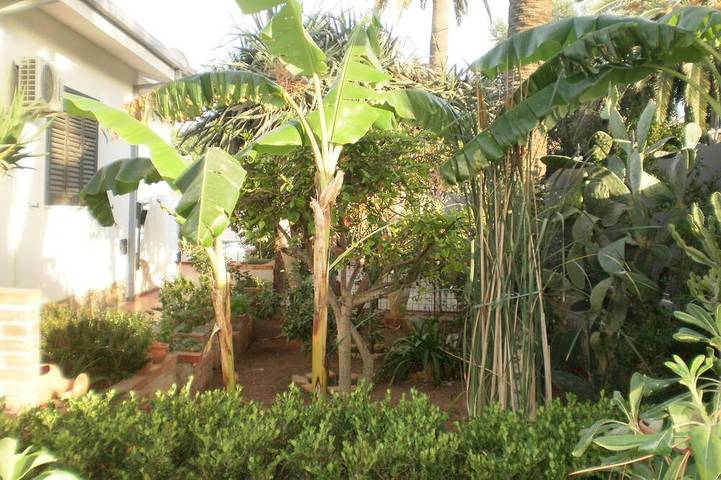 Villa für 6 Personen, mit Terrasse und Garten in Palermo - 4