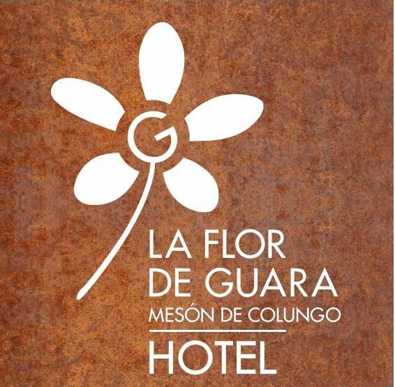 Casa de huéspuedes para 4 personas, con Terraza en Colungo