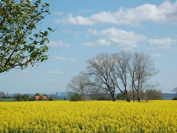 Ferienwohnung für 5 Personen in Nordwestmecklenburg (Wismar und Umgebung), Bild 3
