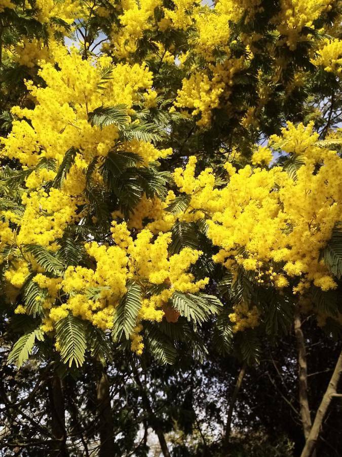 Chambre d’hôte pour 2 personnes, avec jardin et vue à Saint-Jean-de-Monts - 2