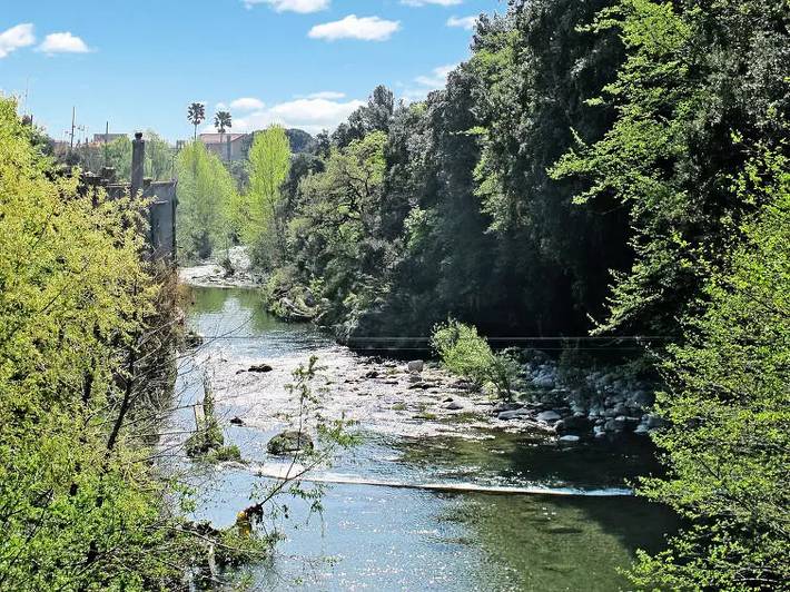 Location de vacances pour 6 personnes, avec terrasse, animaux acceptés à Cisano sul Neva - 3