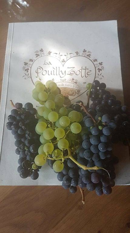 La Pouillyzotte - La suite Lotus in Pouilly-sur-Loire, Vallée de la Loire