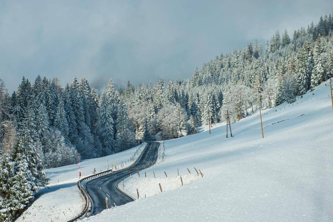 Ferienbauernhof Elmaugut in Hochkönigstock, Mühlbach am Hochkönig