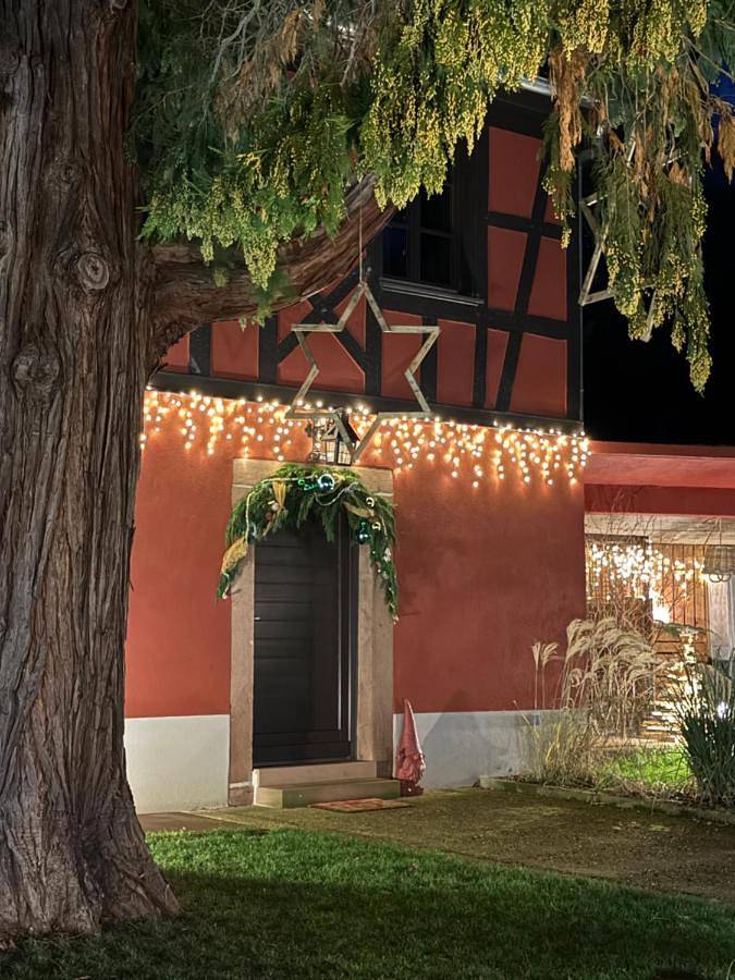 Location de vacances pour 2 personnes, avec jacuzzi et jardin dans Ostheim - 3