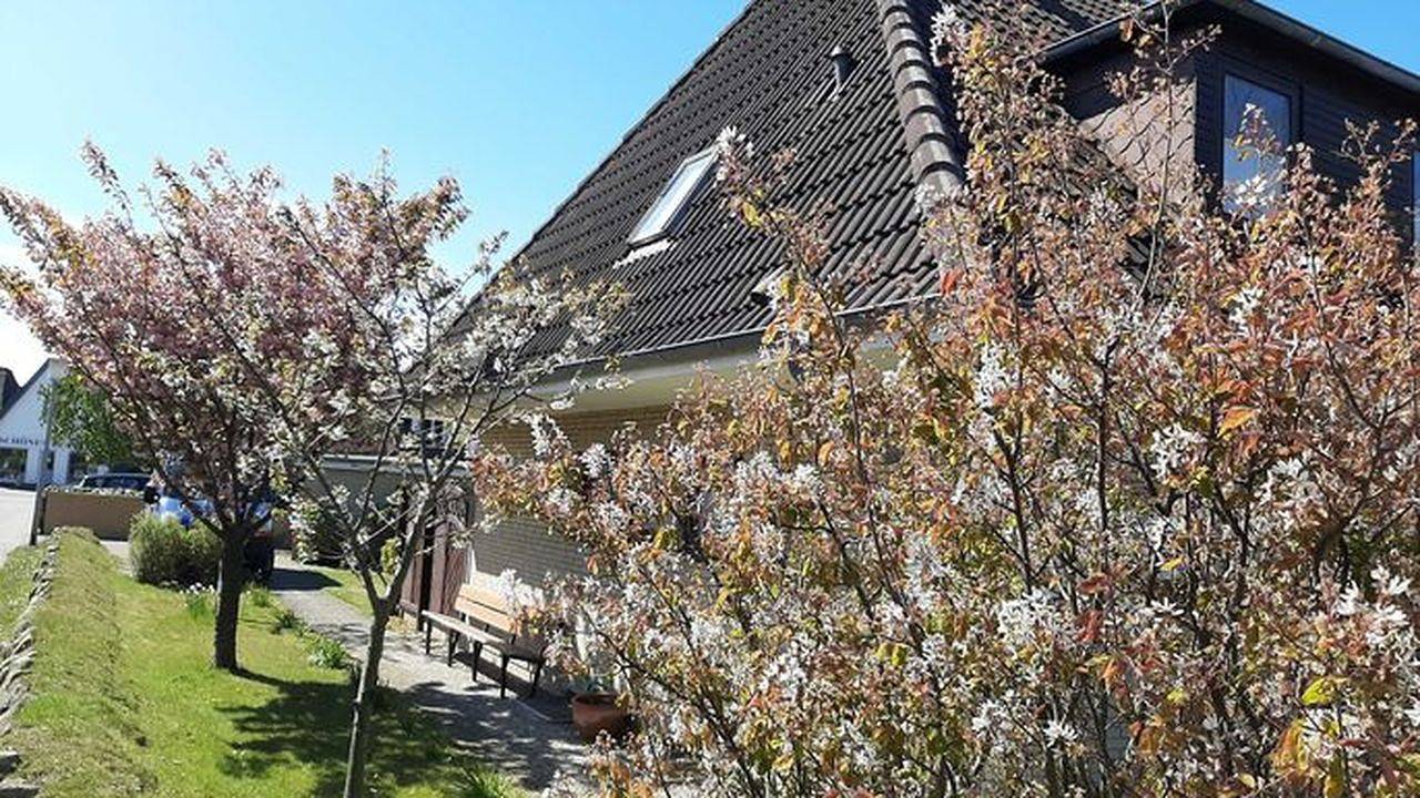 Ganze Ferienwohnung, Ferienwohnung für 4 Personen (61 m²) in Sylt-Ost in Westerland, Sylt (Gemeinde)