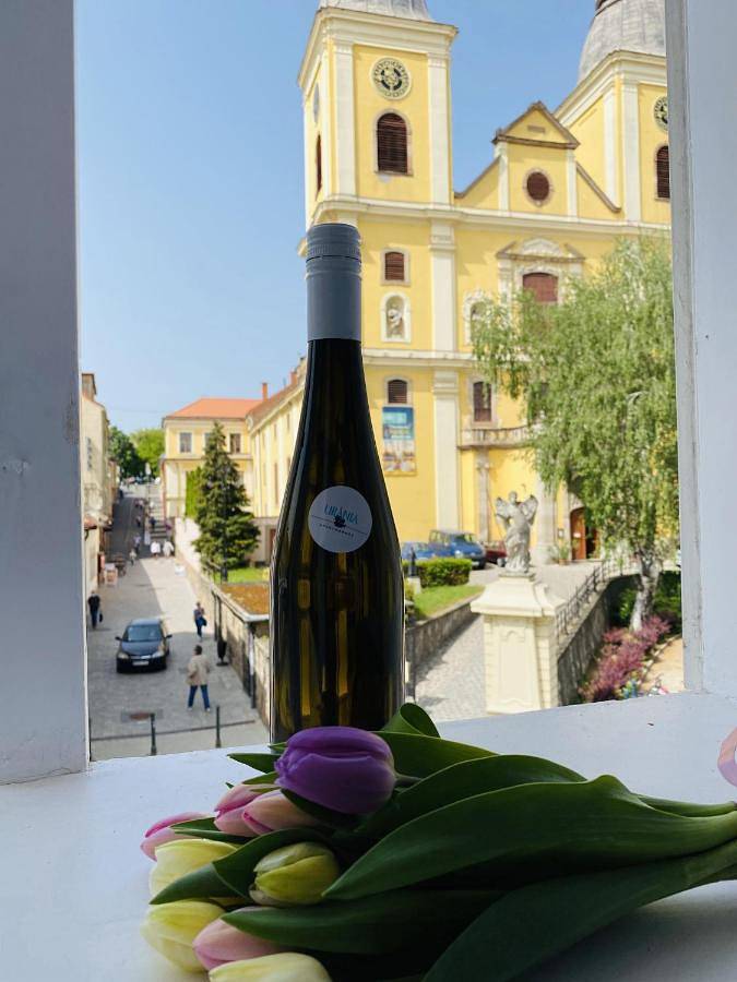 Location de vacances pour 2 personnes, avec vue à Eger - 3