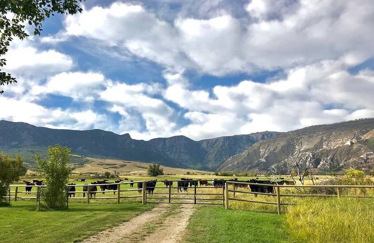 Barn for 5 people, with yard in Wyoming