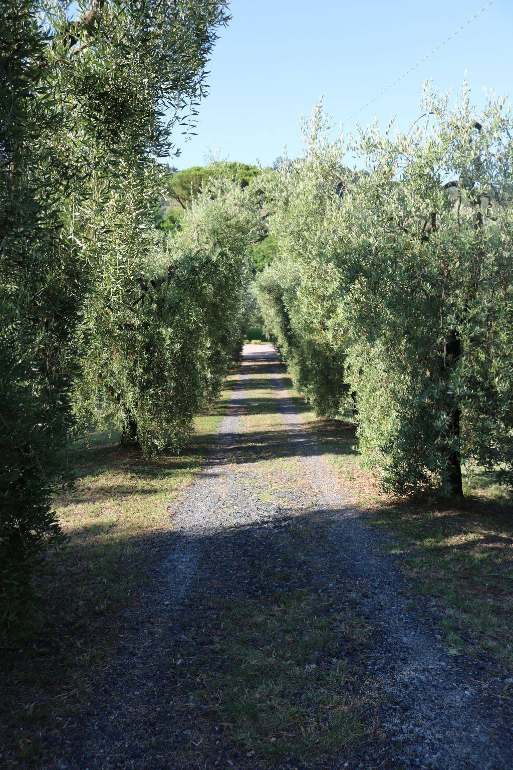 Campo del Rosario in Montescudaio, Etruskische Küste