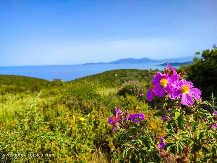 Capu Neru in Coti-Chiavari, Région d'Ajaccio