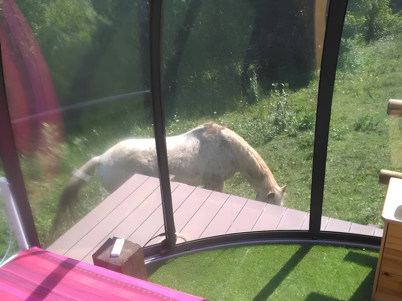 Cabane « Nuit Insolite en Dôme Vitré » : Vue Montagne, Terrasse Privée, Jardin Partagé in Bélesta (Midi-Pyrénées), Ariège