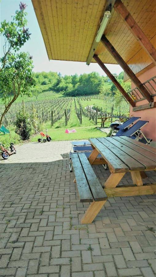 Gite "Au cerf" in Nothalten, Région de Sélestat-Erstein