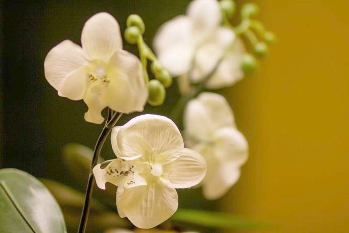 Hôtel pour 2 personnes, avec vue à Plochingen - 4