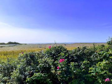 Ferienhaus für 8 Personen in Skjern, Dänemark an der Nordsee, Bild 2