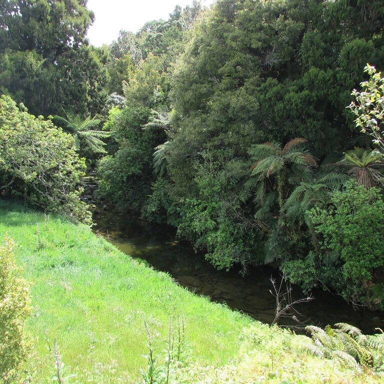 Slice of Heaven Cottage in Western Bay of Plenty District