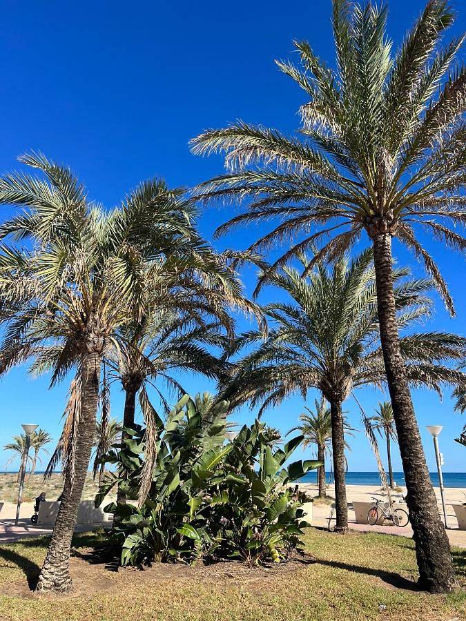 Apartamento de vacaciones para 5 personas, con terraza - 1