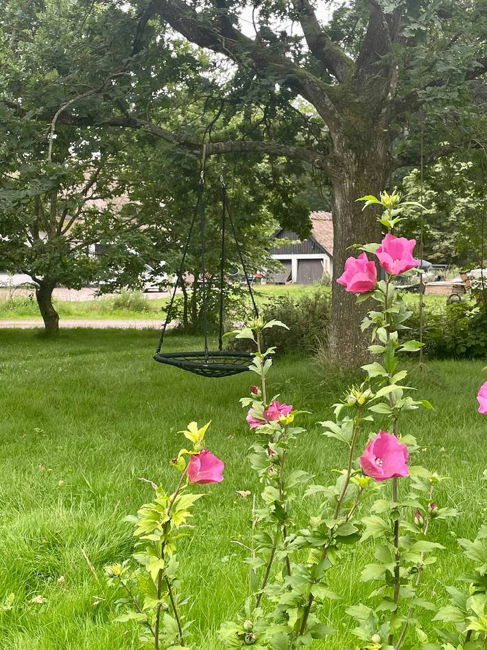 Ferienhaus für 6 Personen, mit Terrasse, mit Haustier in Båring Strand - 4