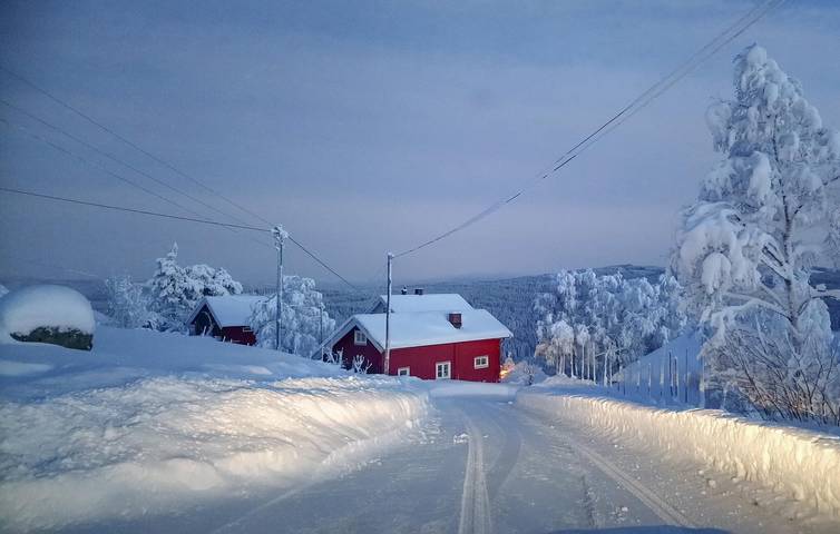 Vakantiehuis voor 4 personen, met tuin, met huisdier in Oppland