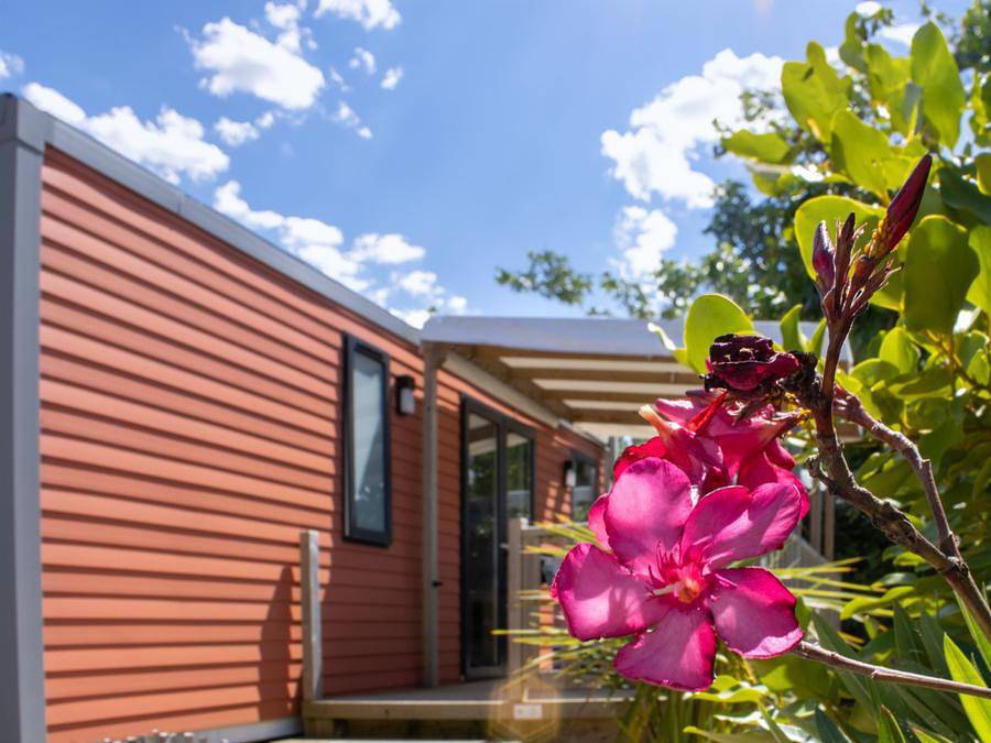 Camping Le Bois Verdon - Mobilhome 6 personnes - Papaye - 3 chambres - 33 m² - terrasse semi-couverte de 15 m² in Saint-Jean-de-Monts, Vendée