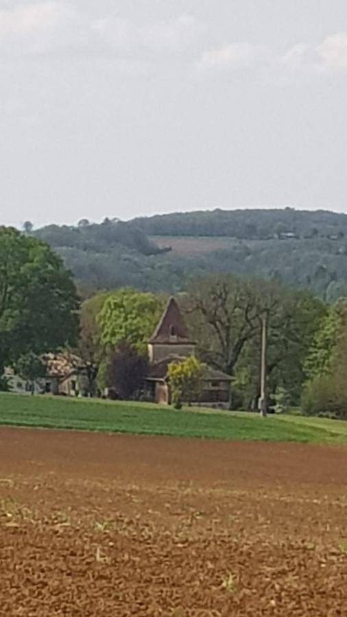 Location de vacances pour 8 personnes, avec piscine ainsi que jardin et vue, animaux acceptés à Bourg-de-Visa - 4