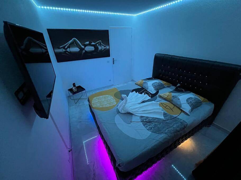 Geheel appartement, Golden seconds in Straatsburg, Strasbourg regio