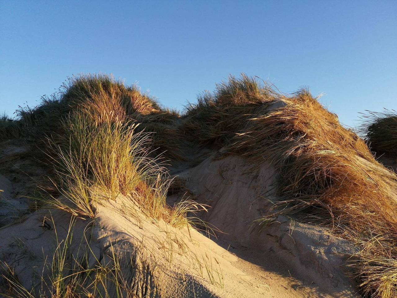 Helles Sommerhaus am Meer -- By Traum Ferienwohnungen in Søndervig, Holmsland Klit