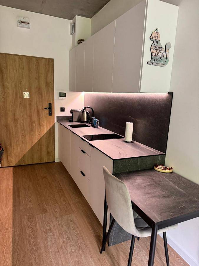 Loft dla 2 osób, z taras w Poznań