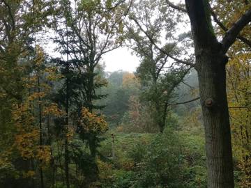 Ferieudlejning til 4 Personer i Øster Hurup, Mariagerfjord, Billede 4