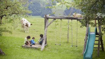 Bauernhof für 3 Personen in Haus, Liezen und Umgebung, Bild 4