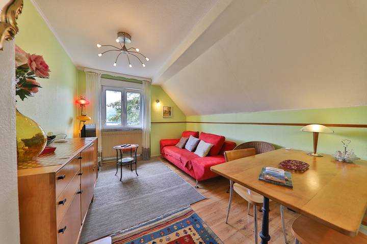 Appartement de vacances pour 2 personnes, avec balcon et jardin, animaux acceptés dans le Haut-Rhin - 2