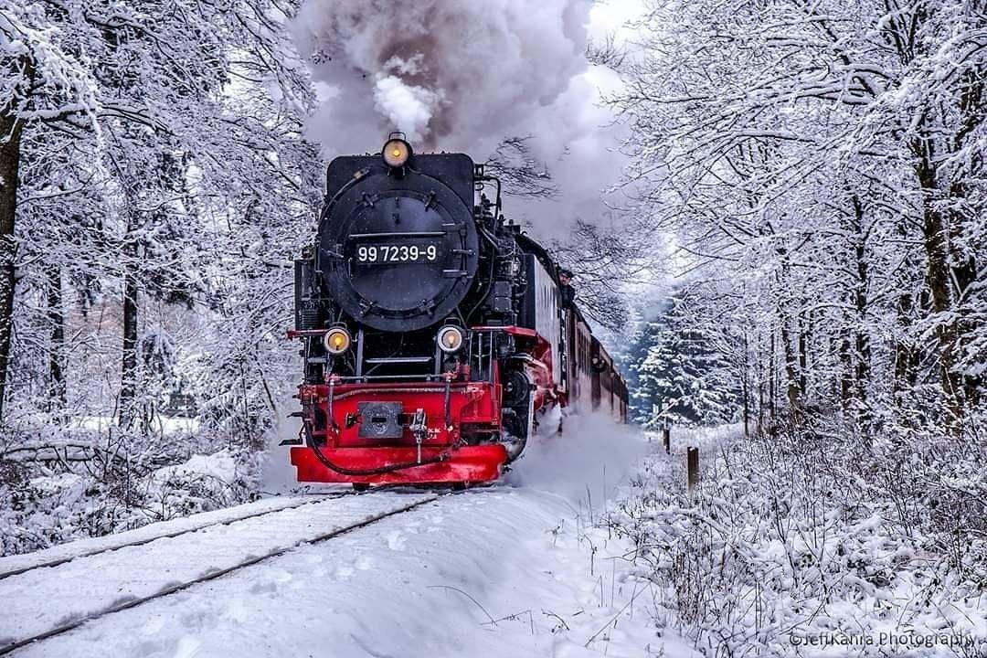 Ganze Ferienwohnung, Zur Alten Oberförsterei in Benneckenstein, Harzvorland